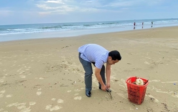 Nhiều hoạt động vì biển, đảo xanh tại huyện Côn Đảo 